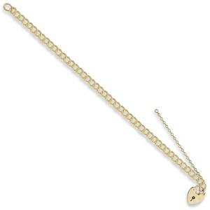 Y/G Double Link Curb & Padlock Charm Bracelet